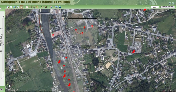 1981_Arbres_remarquables