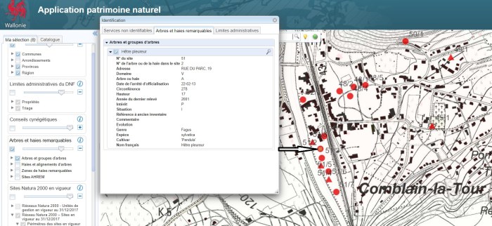 1982_Arbres_remarquables