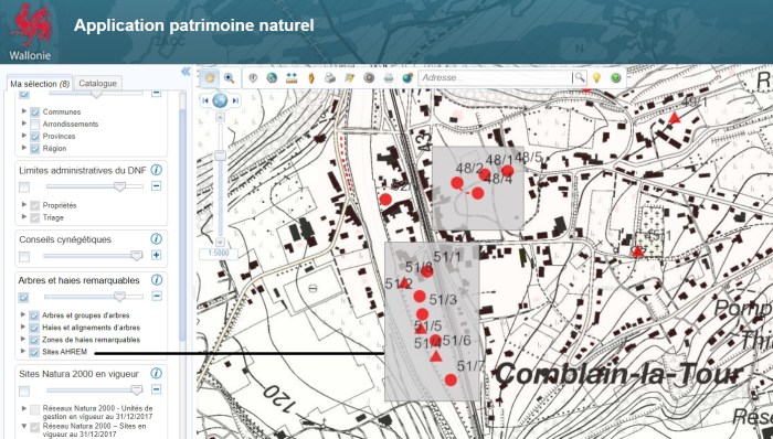 1983_Arbres_remarquables