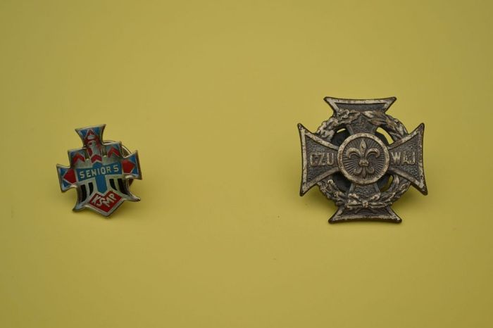 2100_Insignes_séniors